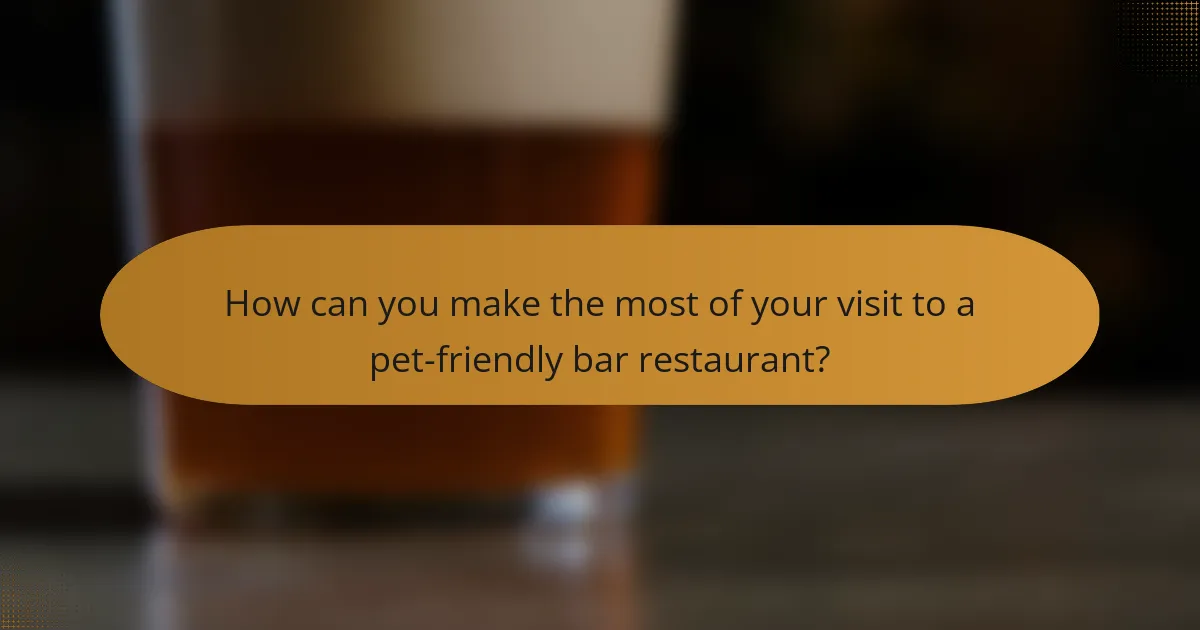 How can you make the most of your visit to a pet-friendly bar restaurant?