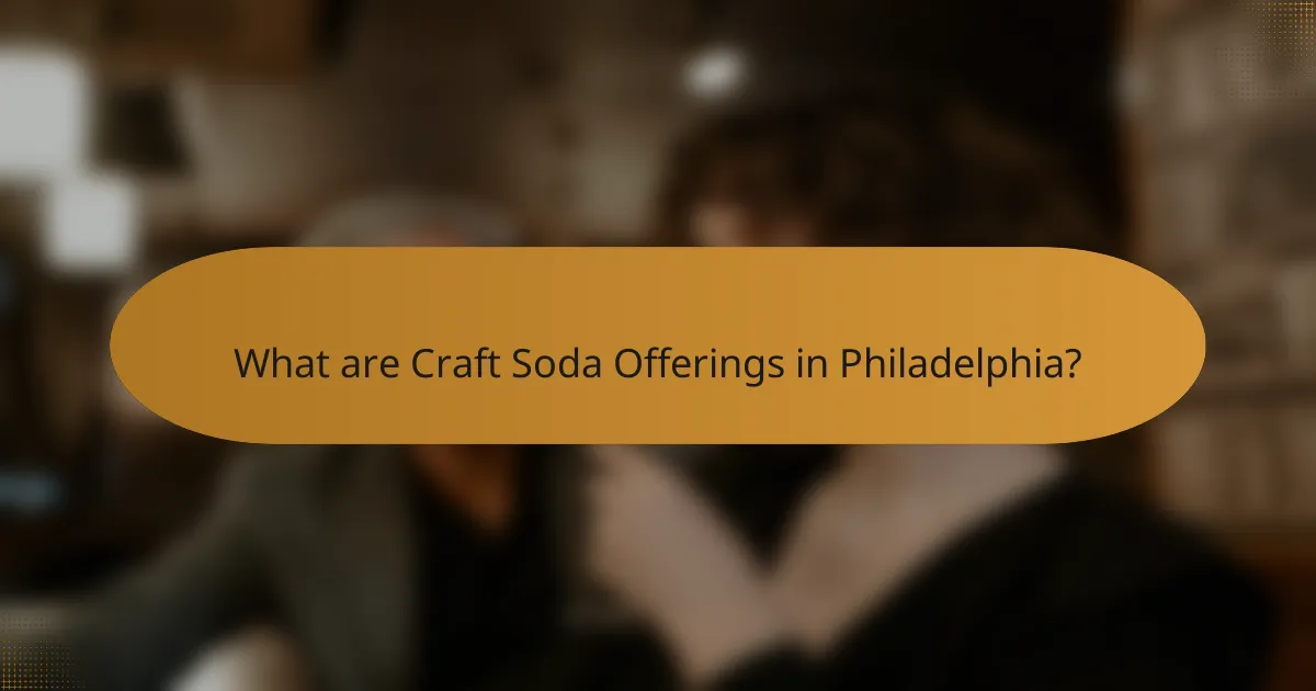 What are Craft Soda Offerings in Philadelphia?